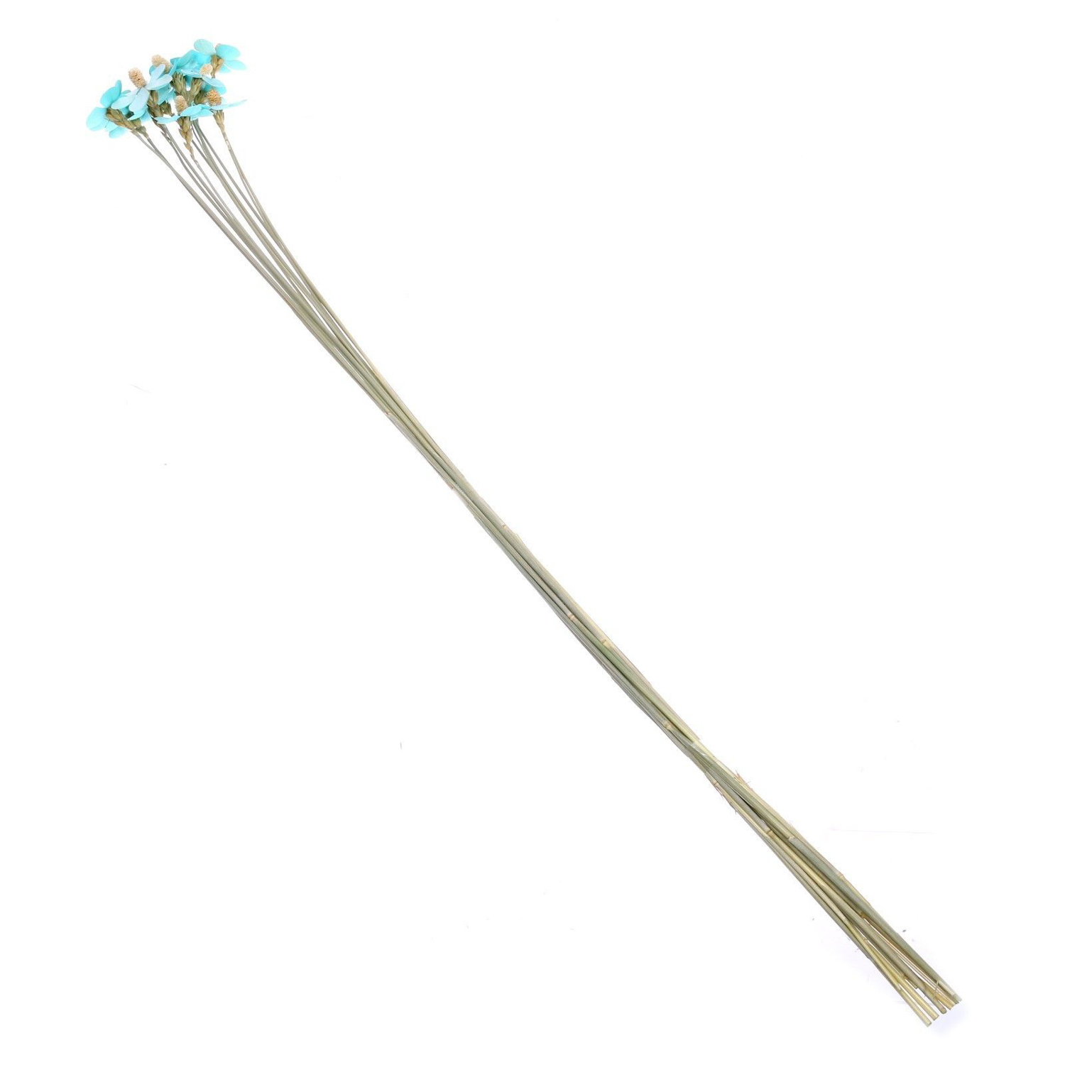 Сухоцвет Фиалка, синий, 12 шт в упаковке   7749563