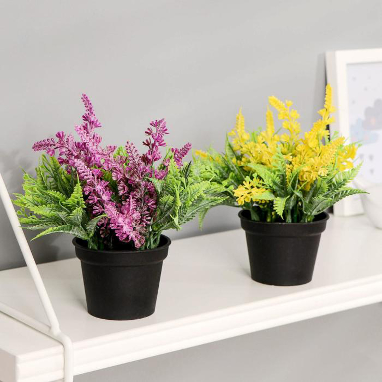 Бонсай в горшке "Лаванда с папоротником" 6,5*12 см, микс 4453393