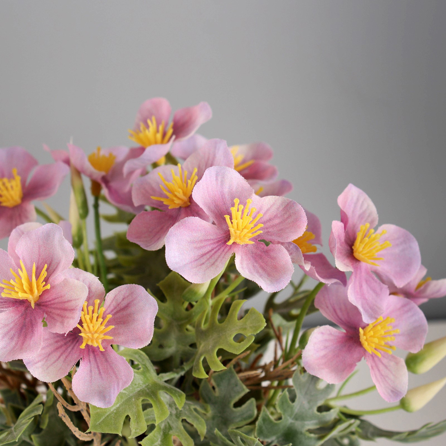 Бонсай "Лапчатка экстра" 8х18 см, микс  10325077