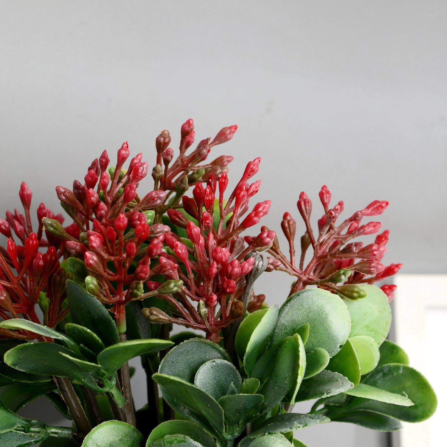 Бонсай в горшке "Сенполия галант" 14х23 см, микс 9222725