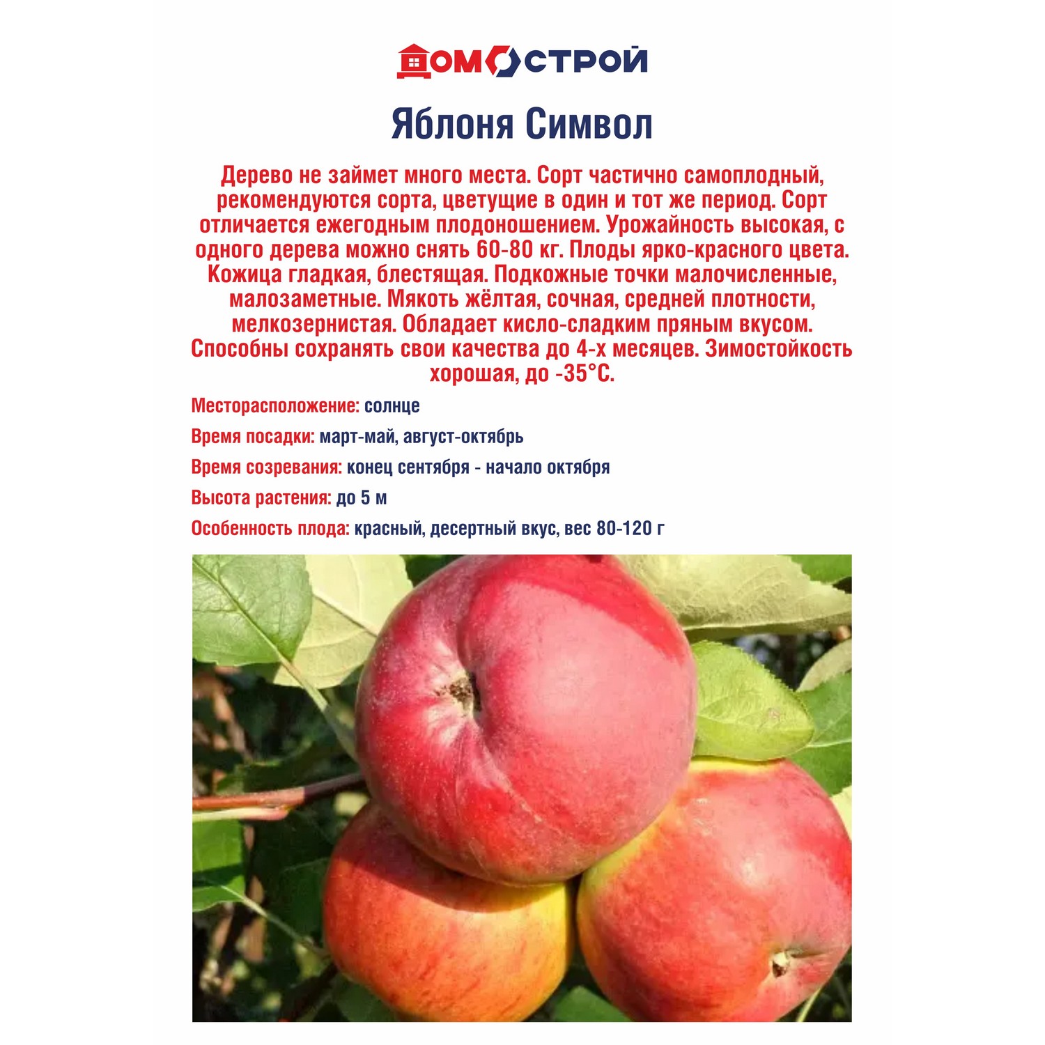 Яблоня Символ