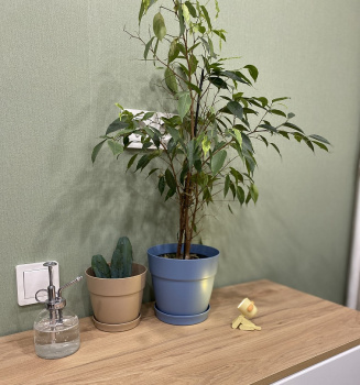 Кашпо пластм. "Villa de Fiori" 4л d верха 200мм h188мм с поддоном Француз. платан IG660210025 *1/8 Кашпо пластм. "Villa de Fiori" 4л d верха 200мм h188мм с поддоном Француз. платан IG660210025 *1/8