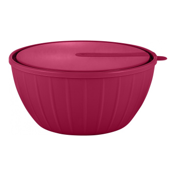 Салатник пластм. "Vanilla" 2,8л d221мм с крышкой Брусника SE186711054 ("Sugar Spice") *1/14